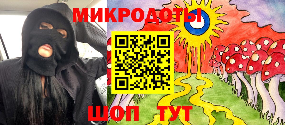 Псилоцибиновые грибы Psilocybine cubensis Кашира