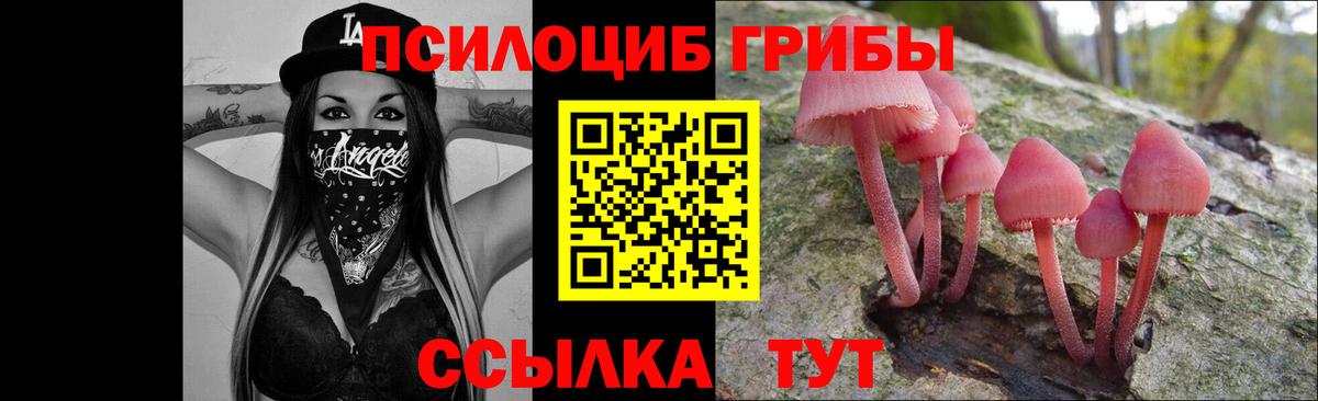 Кашира  Галлюциногенные грибы GOLDEN TEACHER  Вход с VPN  Галлюциногенные грибы мицелий 