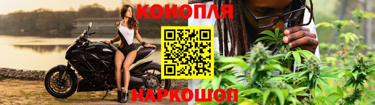 Каннабис Кашира
